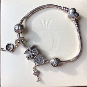 Pandora Snake Bracelet w/ 5 Pandora Charms